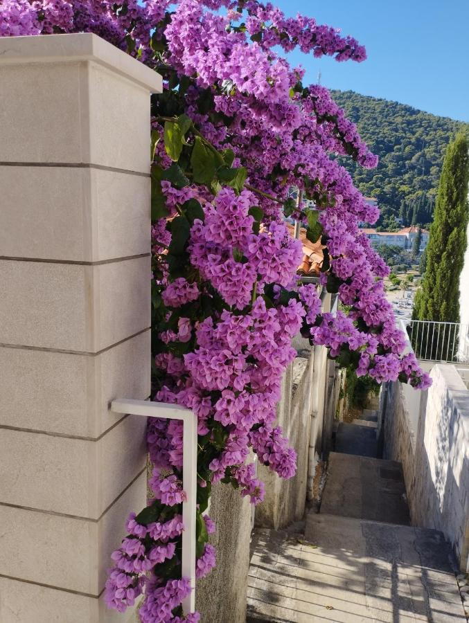 Elelo * Dubrovnik